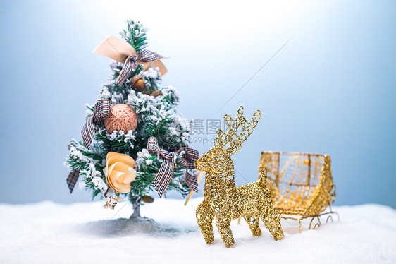 寒冷的鹿麋鹿圣诞节静物图片