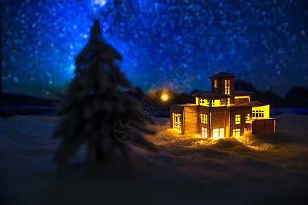 冬天摄影针叶树圣诞背景图片