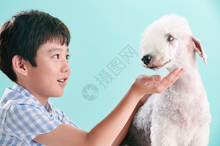 人与动物小男孩和宠物狗背景