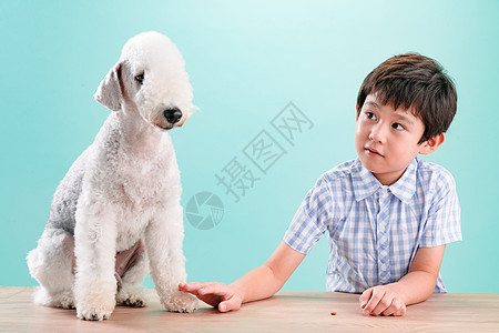 天真小男孩和宠物狗图片