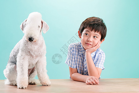 小男孩和宠物狗图片