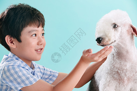 亚洲小男孩和宠物狗图片