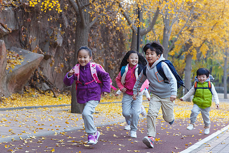 嬉戏的小学生在户外奔跑图片