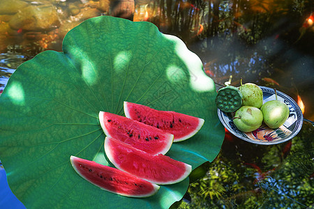 水生植物夏日解暑的西瓜背景