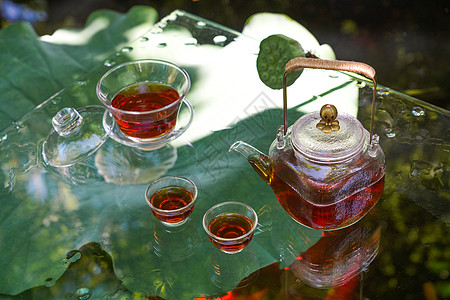 夏天池塘里的金鱼和水上的茶杯茶叶高清图片