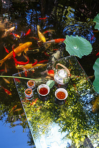 酷暑时候的荷叶池塘和漂在水上的茶具背景图片