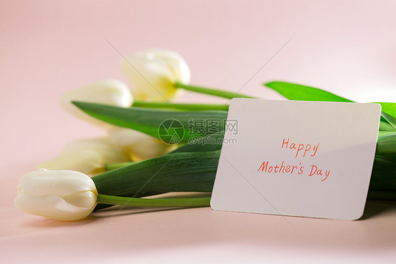 母亲节感谢贺卡和花朵图片