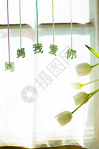 节日祝福花卉母亲节静物图片