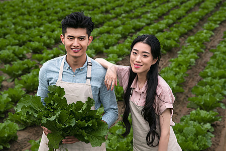 东方夫妇采蔬菜图片