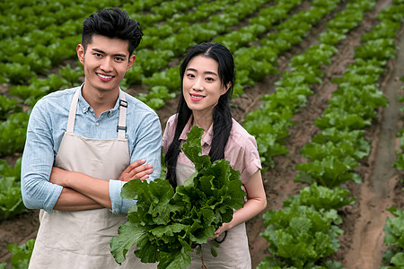 青年人日光家庭生活东方夫妇采摘蔬菜图片