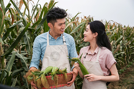 捧着花情侣享乐农业活动有机食品东方夫妇采摘玉米背景