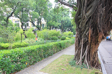 广东当地著名景点图片