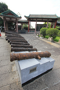 户外国内著名景点树广东省广州越秀公园图片