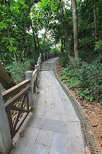 广州越秀公园的美景图片
