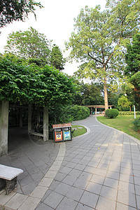 树当地著名景点植物广东省广州越秀公园图片