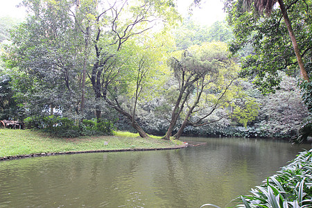 广州越秀公园的美景高清图片