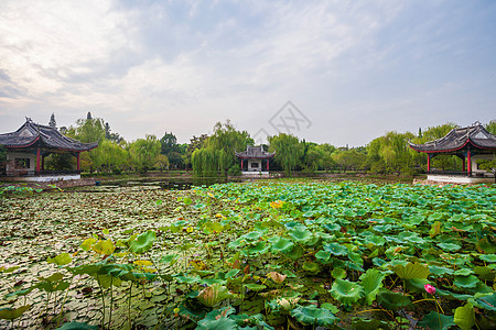 江苏省无锡蠡园图片