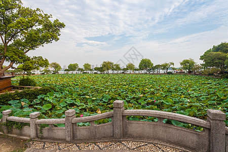 无锡建筑江苏省无锡蠡园背景