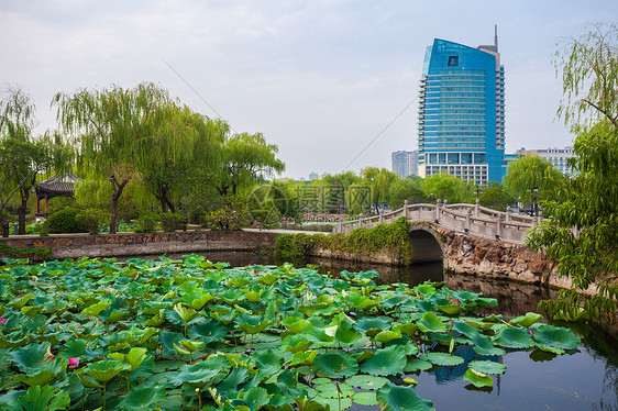 江苏省无锡蠡园图片