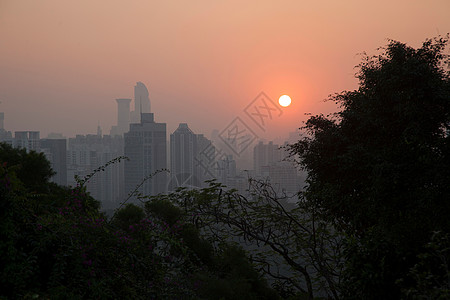 广东省深圳莲花山图片