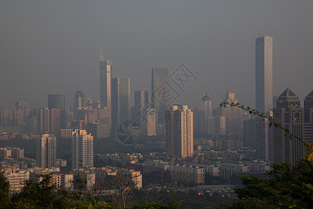 广东省深圳莲花山图片