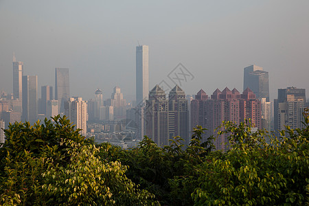 广东省深圳莲花山图片