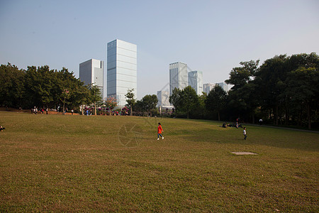 广东省深圳城市建筑高清图片