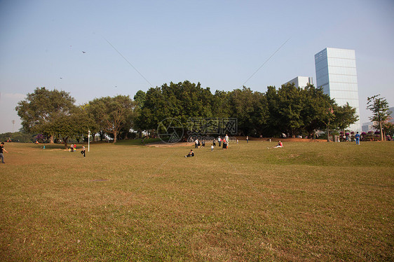 广东省深圳城市建筑图片