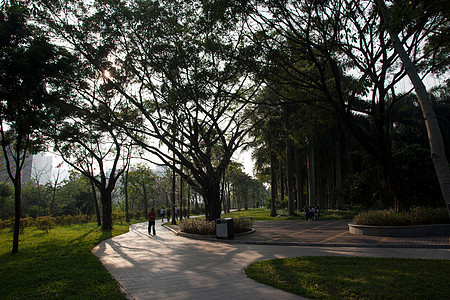 广东省深圳城市建筑图片