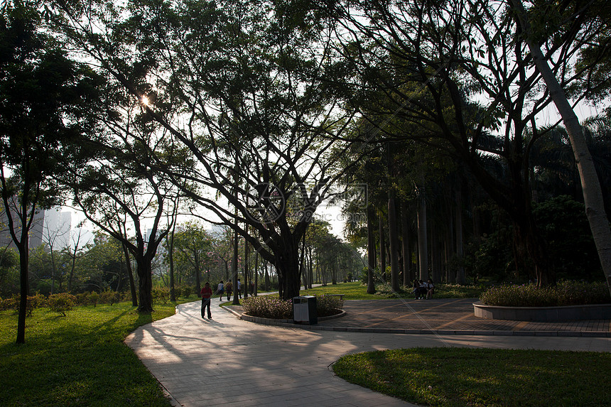 广东省深圳城市建筑图片