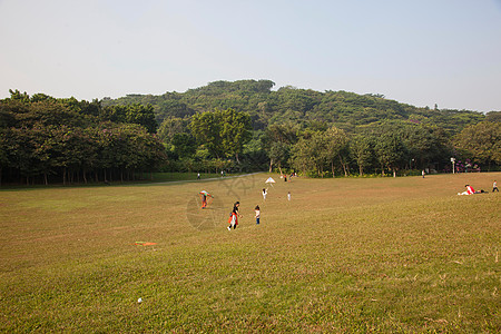 广东省深圳城市建筑背景