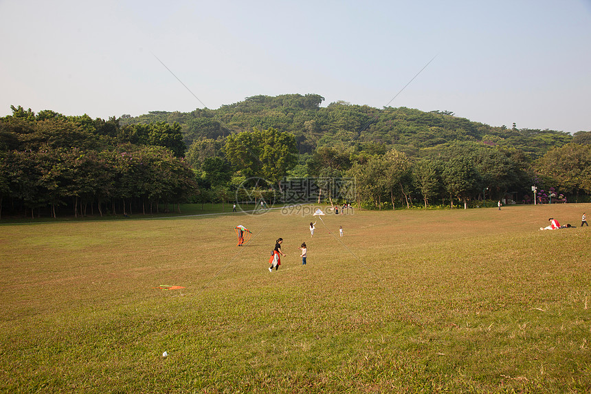 广东省深圳城市建筑图片