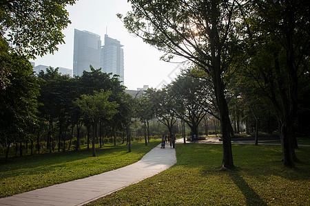 深圳荔枝公园广东省深圳城市建筑背景