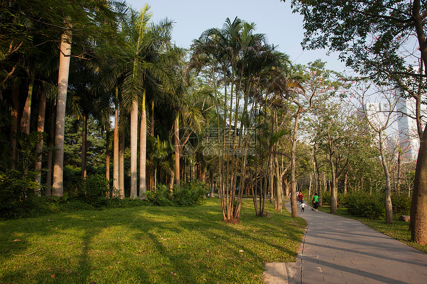 广东省深圳城市建筑图片