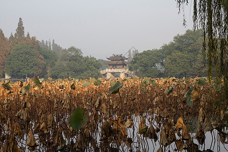 浙江省杭州西湖图片