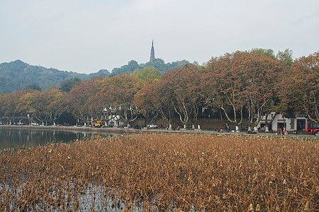 塔子山公园日落风景浙江省杭州西湖保叔塔背景