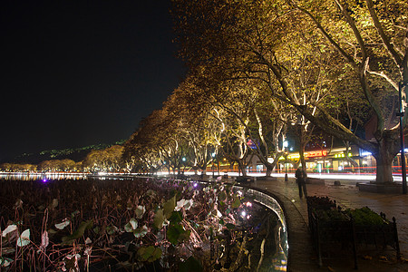 北湖公园浙江省杭州西湖夜景背景