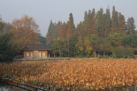 古典风格彩色图片浙江省杭州西湖图片