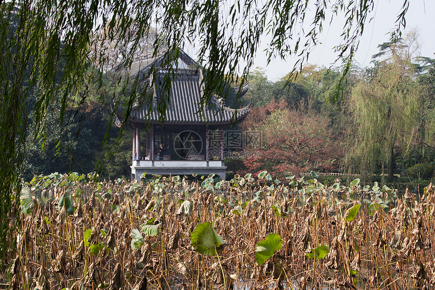 风景旅行秋天浙江省杭州西湖图片