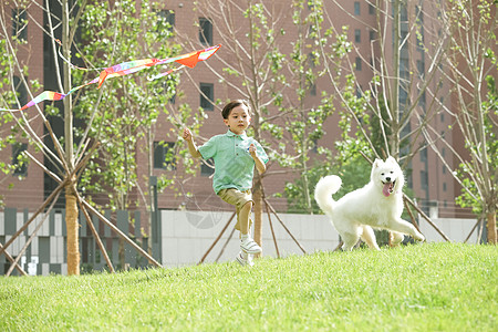放风筝的小男孩小男孩在户外玩耍背景