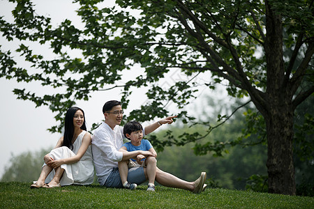 儿子30岁到34岁摄影一家三口坐在草地上图片素材