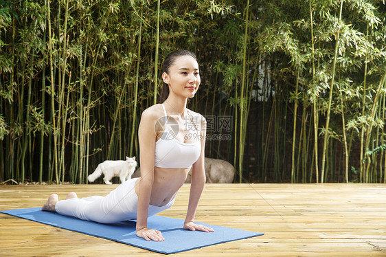 伸展青年女人练习瑜伽图片