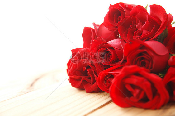 自然美静物红色玫瑰花图片