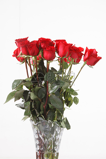 花瓶玻璃瓶植物玫瑰花高清图片下载 正版图片 摄图网