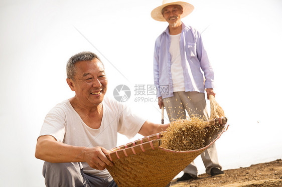 老农民在干农活图片