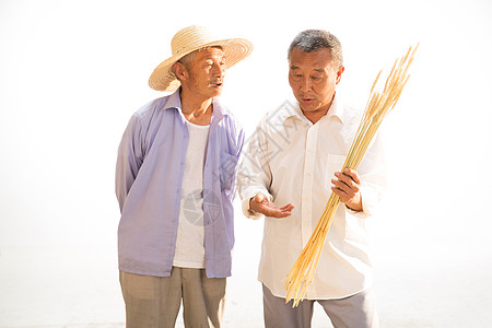 两位老农民拿着麦穗图片