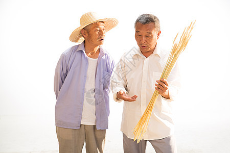 两位老农民拿着麦穗图片