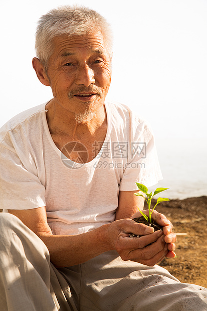 老农民手捧小苗图片