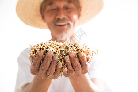 捧着麦子的老农民图片