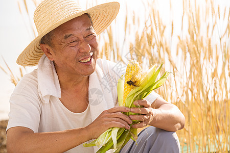 微笑的麦田老农民拿着玉米图片
